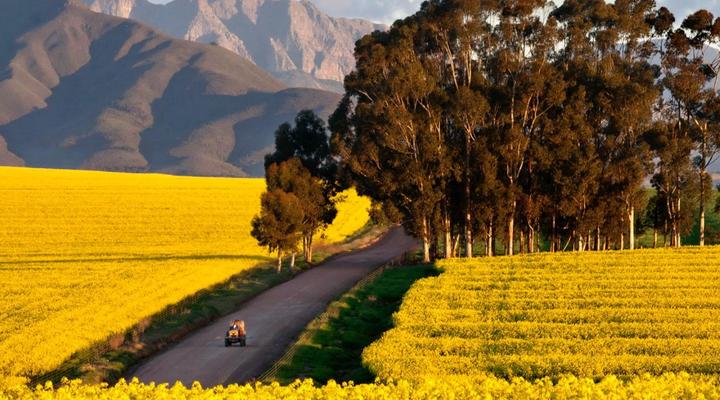 Bartholomeus Klip Farmhouse