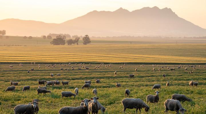 Bartholomeus Klip Farmhouse