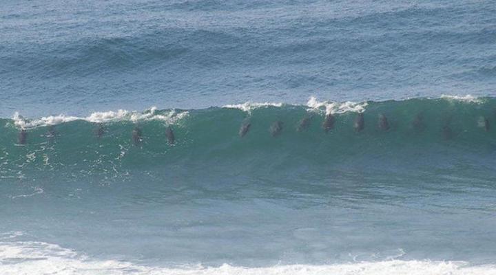 Tinley Manor Hil's B&B