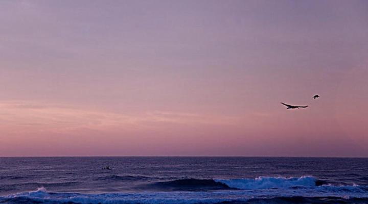 Tinley Manor Hil's B&B