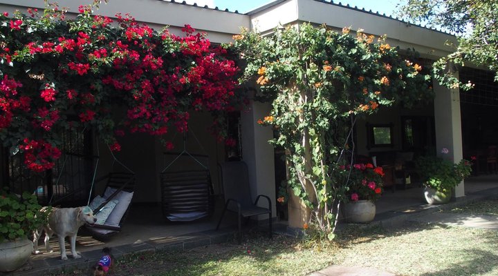 Lion Tree Top Lodge