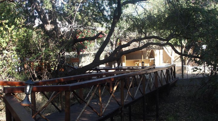Lion Tree Top Lodge