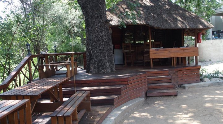 Lion Tree Top Lodge