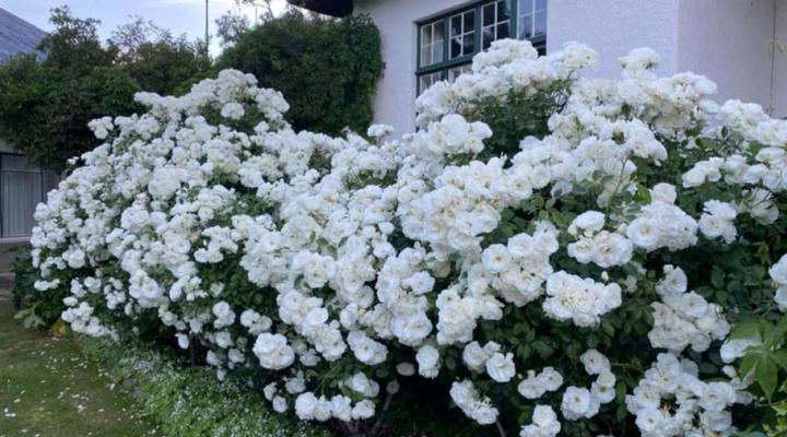 Dwarsvlei Guest House