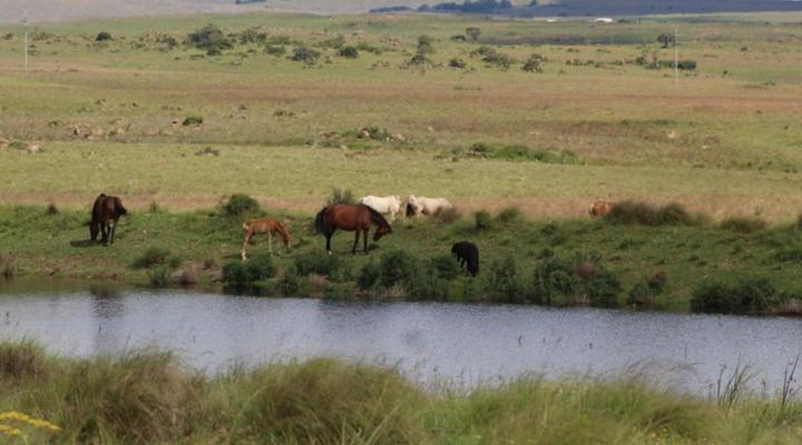 The Outpost Dullstroom