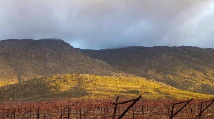 Farm Cottages at Au d'Brandy Route