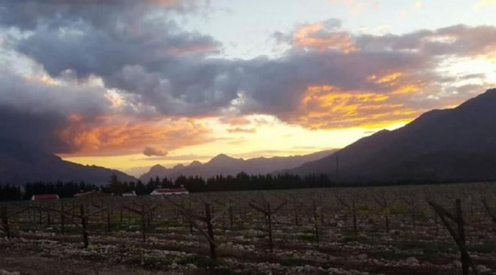 Farm Cottages at Au d'Brandy Route