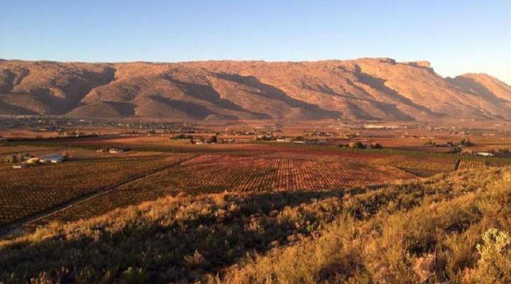 Farm Cottages at Au d'Brandy Route