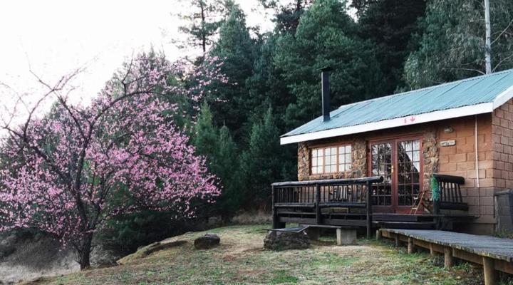The Old Hatchery Mountain Retreat & Waterfall Restaurant & Pub