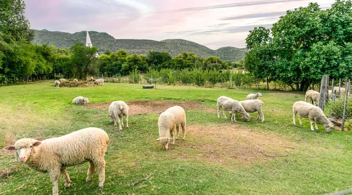 Die Fonteine Guesthouse