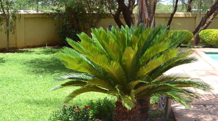 The Capital Guest House