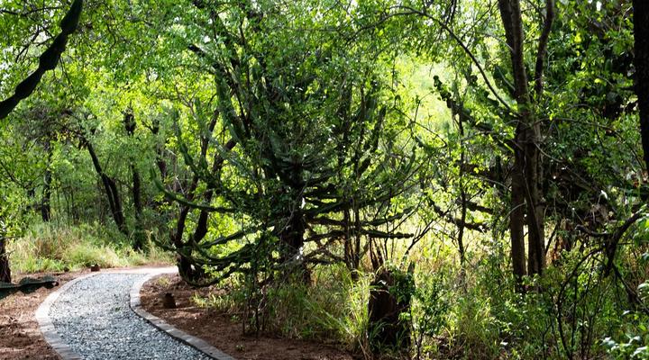 Kubu Metsi Safari Lodge
