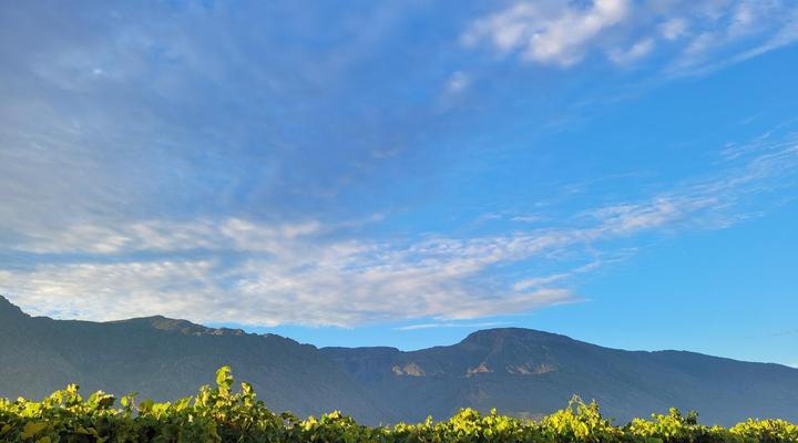 Farm Cottages at Au d'Brandy Route