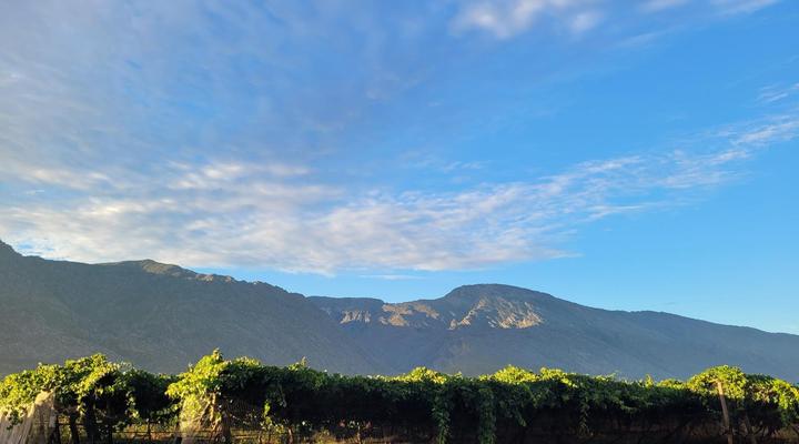 Farm Cottages at Au d'Brandy Route
