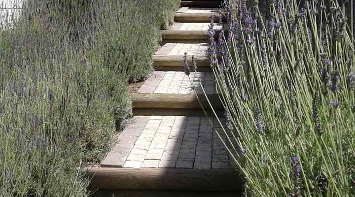 Lavandula Manor Self-catering Guest House