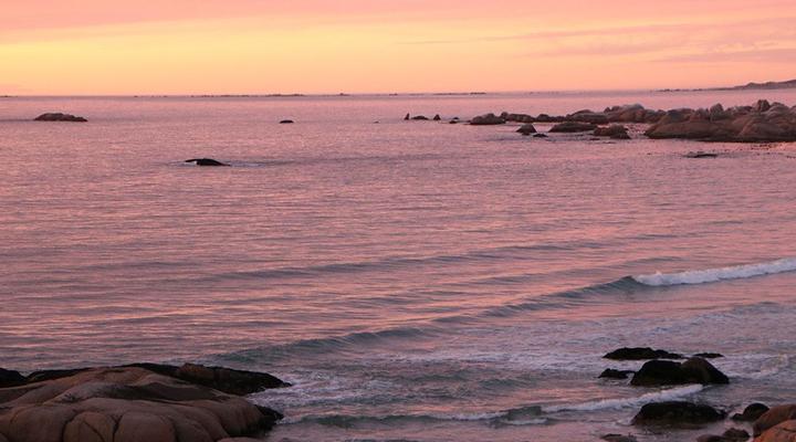 Dune Ridge Main House