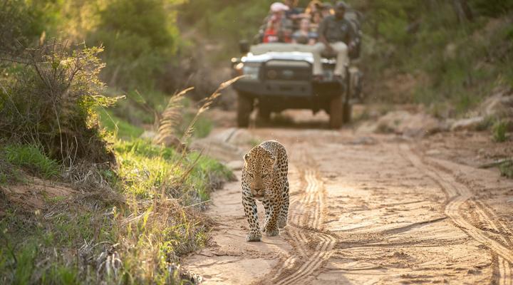 Kapama Southern Camp