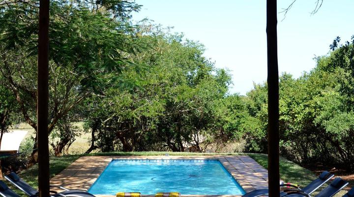 Hluhluwe Bush Camp Glamping Village