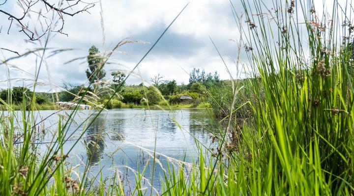 Riverman Cabin Country Lodge - Tonteldoos