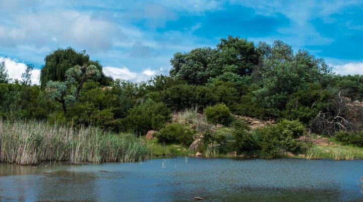 Riverman Cabin Country Lodge - Tonteldoos