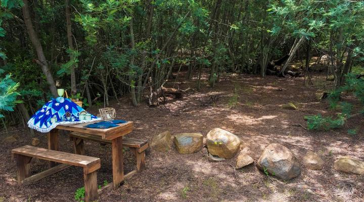 Riverman Cabin Country Lodge - Tonteldoos