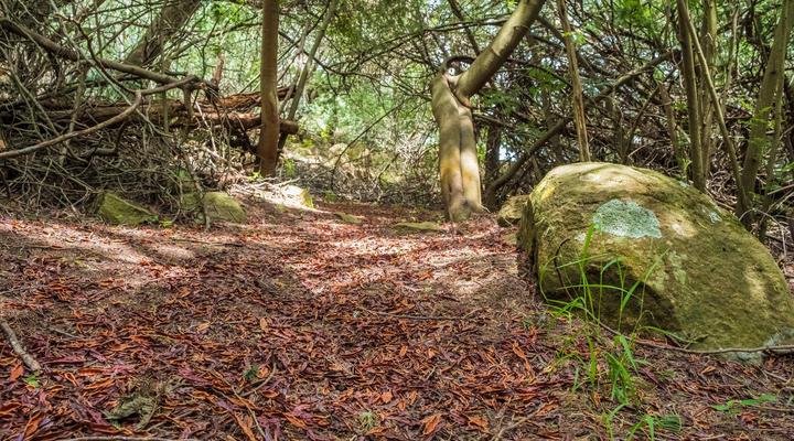 Riverman Cabin Country Lodge - Tonteldoos