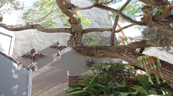 Panorama Guest House