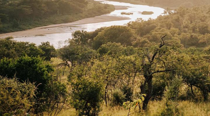 mFulaWozi Wilderness Biyela Lodge
