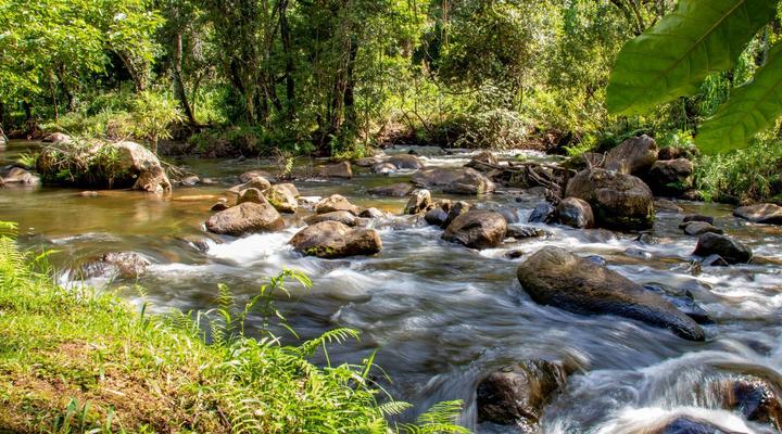 AfriCamps at Mackers