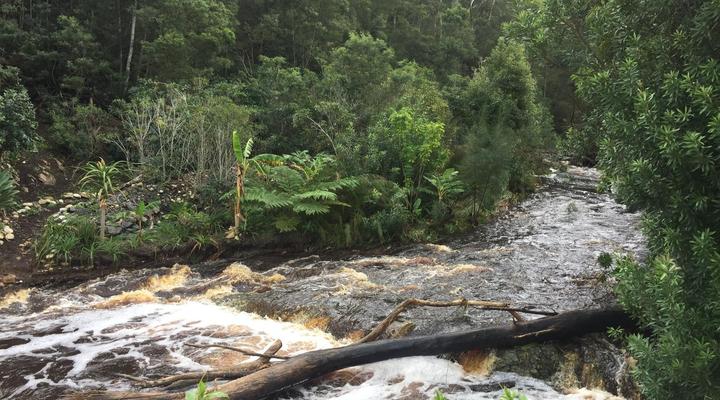 A Riverbed Guesthouse