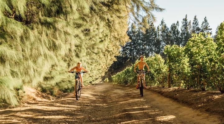 AfriCamps at Doolhof Wine Estate