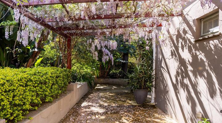 Keerweder- place of homecoming and tranquility