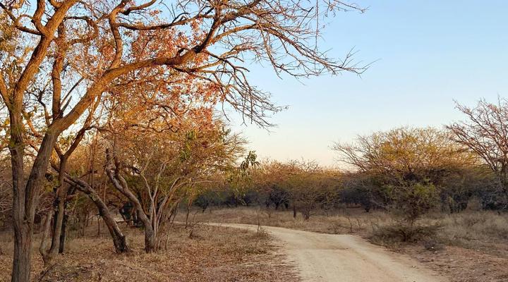 AfriCamps Hoedspruit