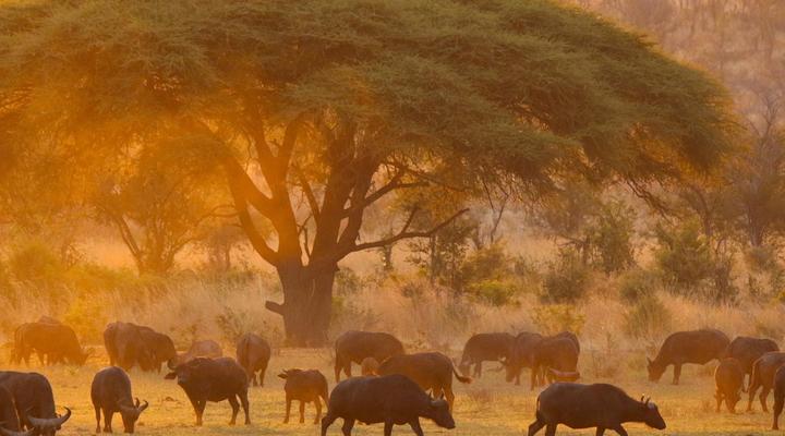 Hideaways Nantwich Lodge, Hwange
