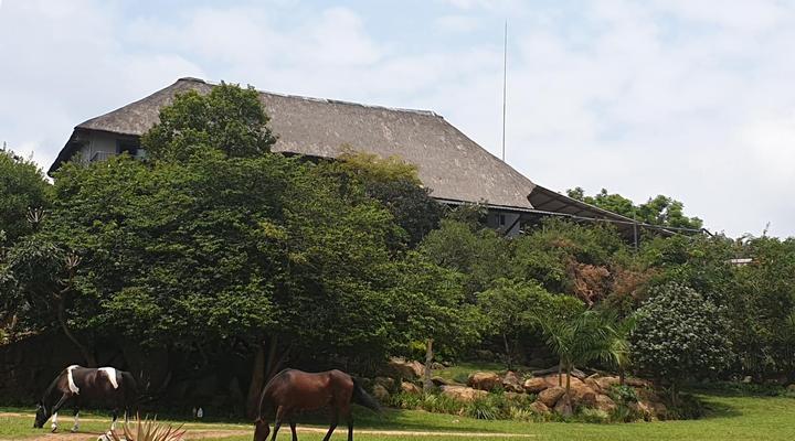 Wild Medlar Accommodation & Venue