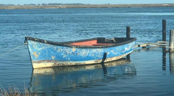 Old Cape on the Marina