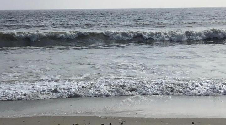 Old Cape on the Marina