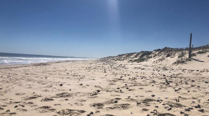 Old Cape on the Marina