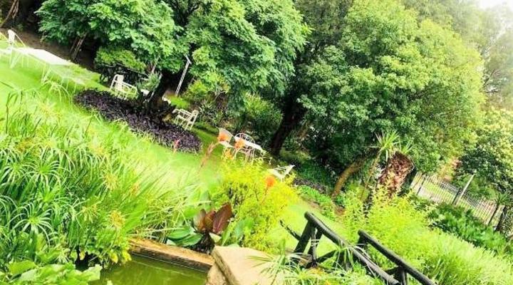 Golden Elephant Guest House