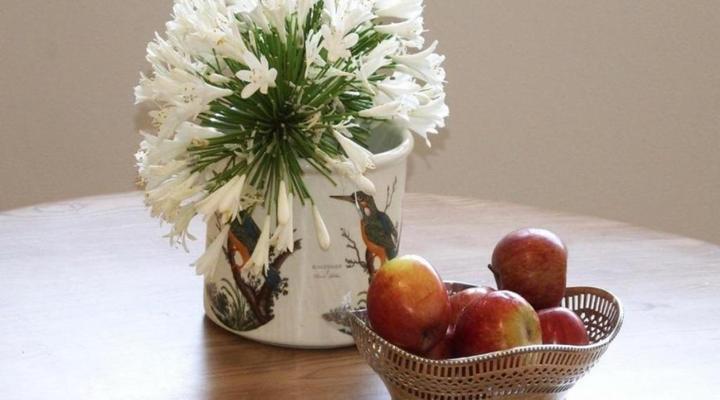 Taunton Stay Port Elizabeth