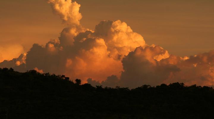 Bateleur Nature Reserve