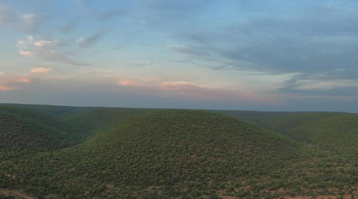 Umlondolozi Game Farm