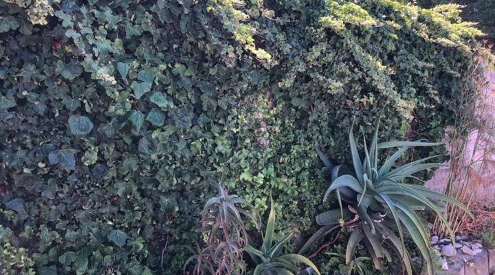  Old Cape Last Trading Post