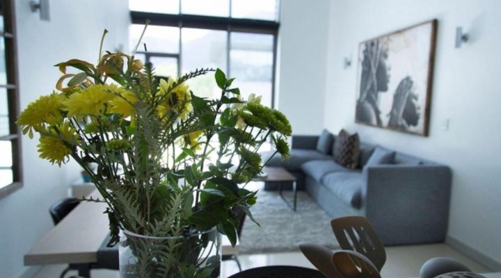 The Quadrant Penthouse Apartment