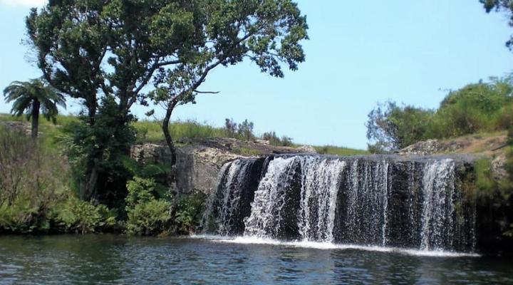 Dreamfields Guesthouse