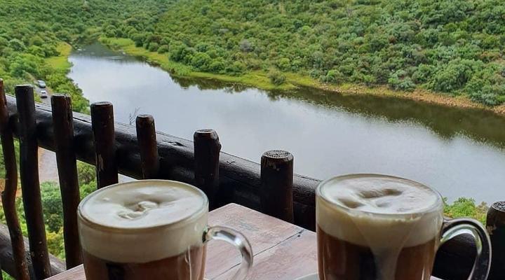 Bush Dream Mabalingwe