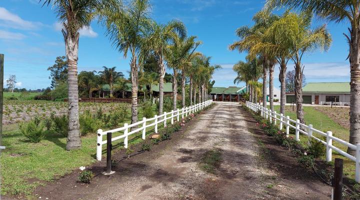Mountain Breeze Log Cabins