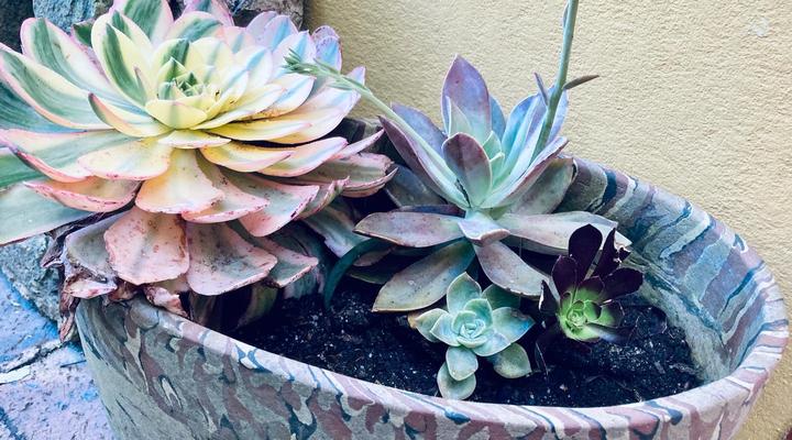 John Bauer Pottery Studio