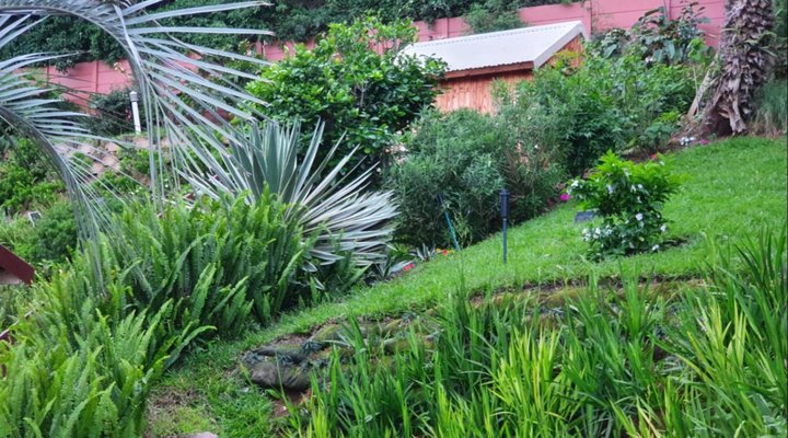 Casa di Cattleya Guest House