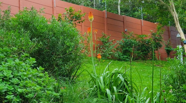 Casa di Cattleya Guest House